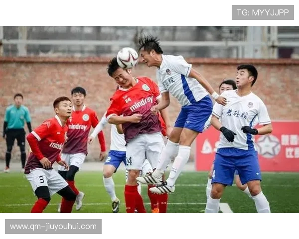 从足球的团队精神到篮球的个人突破探讨竞技运动中的共通魅力